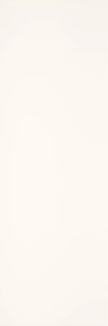 Płytka Elegant surface bianco ściana rekt. 89,8 x 29,8 cm - zdjęcie 1.