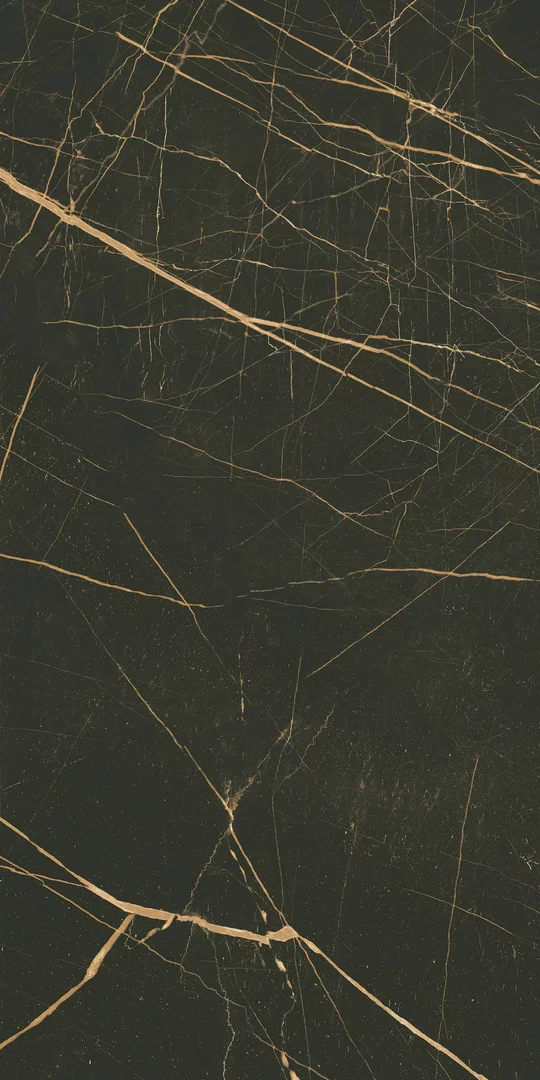 Płytka Fancy black ściana połysk 60 x 30 cm - zdjęcie 1.