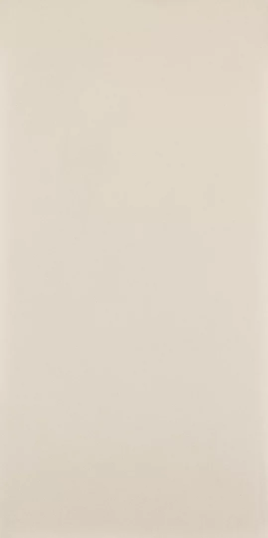 Płytka Intero bianco gres rekt. mat. 119,8 x 59,8 cm - zdjęcie 1.