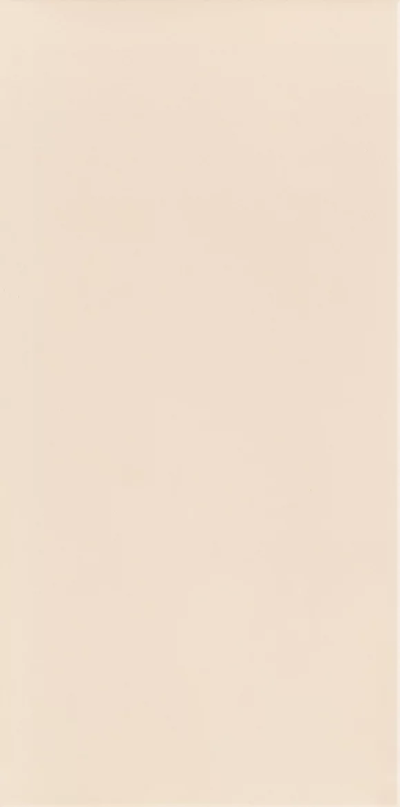 Płytka Neve creative beige ściana połysk 19,8 x 9,8 cm - zdjęcie 1.