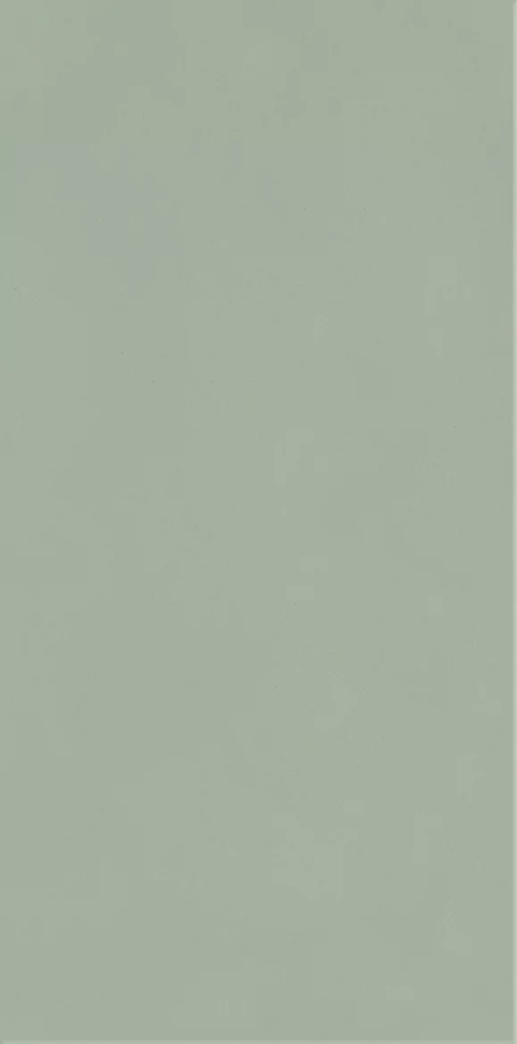 Płytka Neve creative green ściana połysk 19,8 x 9,8 cm - zdjęcie 1.