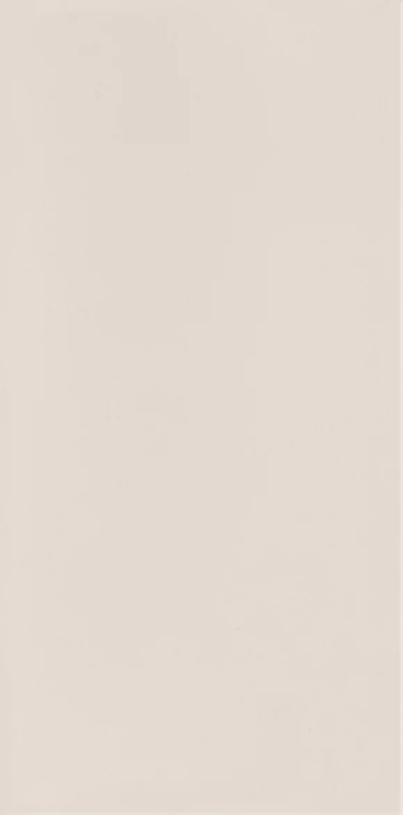 Płytka Neve creative light grys ściana połysk 19,8 x 9,8 cm - zdjęcie 1.