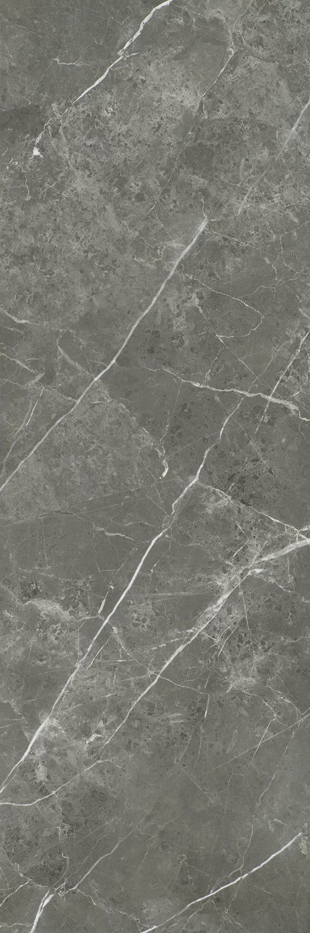 Płytka Noisy whisper graphite ściana rekt. 119,8 x 39,8 cm - zdjęcie 1.